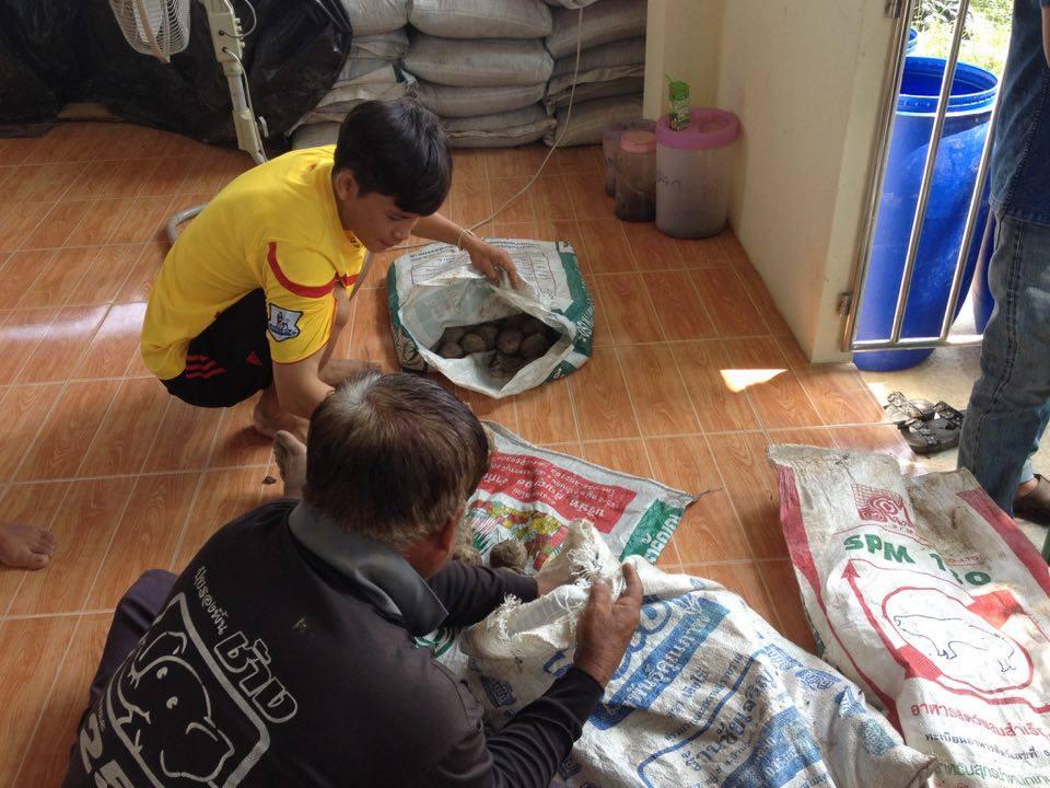 1. กิจกรรมเชิงปฏิบัติการการทำน้ำหมักชีวภาพและการจัดทำบัญชีรายรับรายจ่าย วันที่ 27 เมษายน 2560 ณ ชุมชนหนองหลวง หมู่ที่ 10 บ้านวังสระทอง