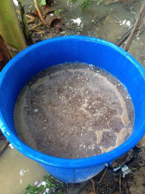 2. อบรมเชิงปฏิบัติการการทำปุ๋ยจุลินทรีย์ วันที่ 18 พฤษภาคม 2560 ณ ศาลาประชาคม หมู่ที่ 10 ต.หนองหลวง อ.ลานกระบือ จ.กำแพงเพชร 