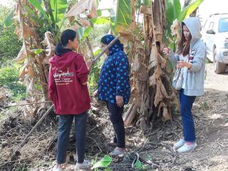 2. วันที่ 4 ธันวาคม 2562 สำนักบริการวิชาการและจัดหารายได้ ลงพื้นที่ตำบลนิคมทุ่งโพธิ์ทะเล จัดกิจกรรมบูรณาการการเรียนการสอนกับหลักปรัชญาเศษฐกิจพอเพียง ณ ชุมชนตำบลนิคมทุ่งโพธิ์ทะเล อ.เมืองกำแพงเพชร จ.กำแพงเพชร