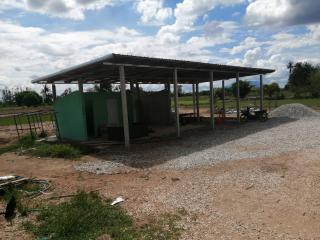 4. ให้คำปรึกษาในการสร้างโรงเรือนในการบรรจุภัณฑ์ข้าว วันที่ 12 มิถุนายน 2563 ณ กลุ่มวิสาหกิจชุมชนฅนรักษ์แม่หนองหลวง ต.หนองหลวง อ.ลานกระบือ จ.กำแพงเพชร