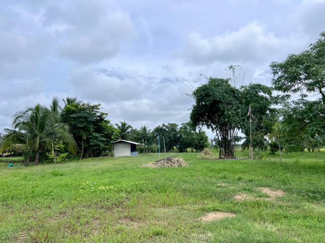 4. ลงพื้นที่สำรวจความเรียบร้อยร่วมกับองค์การบริหารส่วนตำบลสักงาม วันที่ 8 กันยายน 2566 ณ สวนพ่อพอเพียง องค์การบริหารส่วนตำบลสักงาม