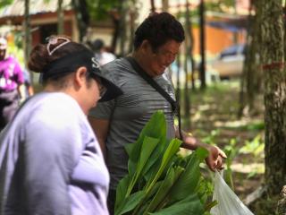 2. กิจกรรมอบรมเชิงปฏิบัติการพัฒนาระบบสูบน้ำพลังงานแสงอาทิตย์และปลูกพืชสมุนไพร ในพื้นที่ป่าชุมชนท่าทองแดง ตำบลนาโบสถ์ อำเภอวังเจ้า จังหวัดตาก วันที่ 7 สิงหาคม 2567 ณ ป่าชุมชนท่าทองแดง หมู่ที่ 7 ตำบลนาโบสถ์ อำเภอวังเจ้า จังหวัดตาก