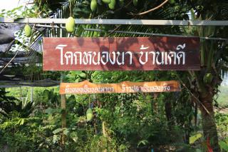 อบรมเชิงปฏิบัติการการถ่ายทอดองค์ความรู้การนวดฝ่าเท้าเพื่อสุขภาพ