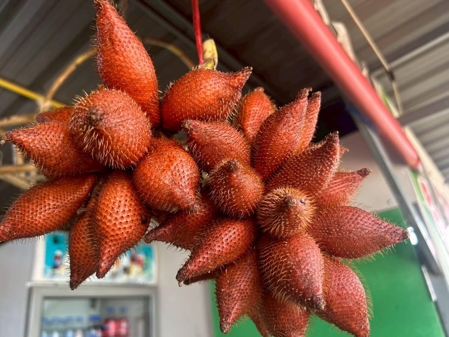 2. เปิดศูนย์เรียนรู้และจำหน่ายกล้วยไข่ GI หนุนเกษตรกรยกระดับคุณภาพผลผลิต ณ วิสาหกิจชุมชนเกษตรกล้วยไข่ ตำบลท่าพุทรา อำเภอคลองขลุง จังหวัดกำแพงเพชร วันที่ 15 สิงหาคม 2568