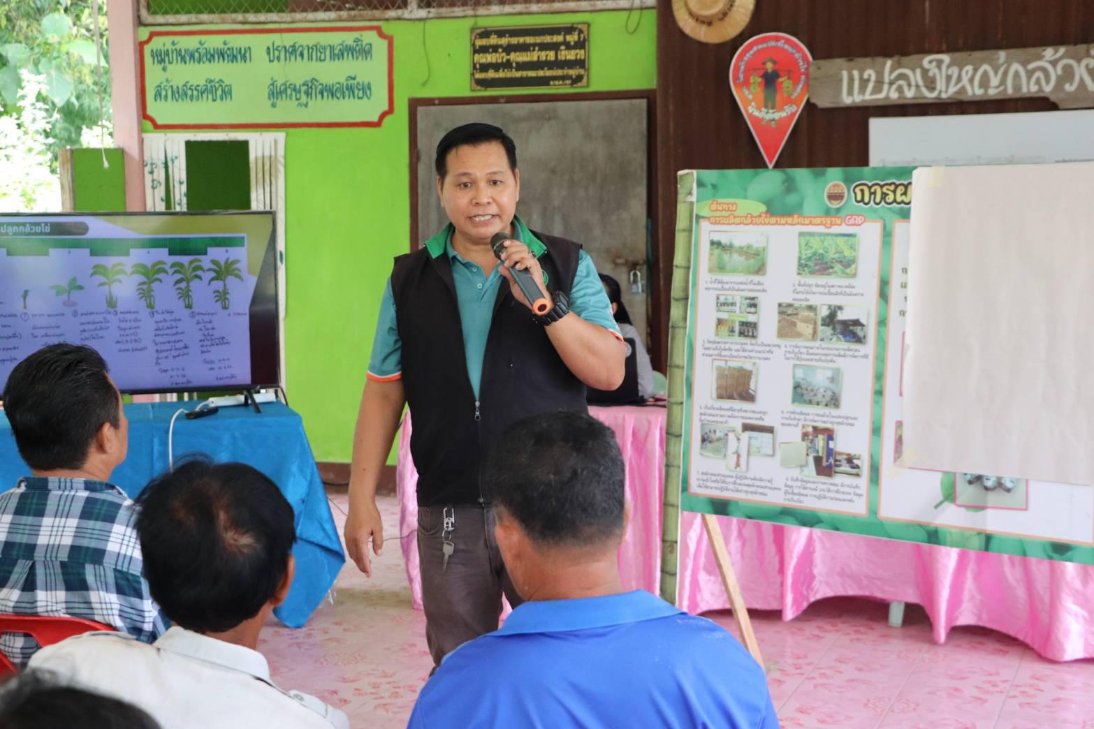 8. เปิดศูนย์เรียนรู้และจำหน่ายกล้วยไข่ GI หนุนเกษตรกรยกระดับคุณภาพผลผลิต ณ วิสาหกิจชุมชนเกษตรกล้วยไข่ ตำบลท่าพุทรา อำเภอคลองขลุง จังหวัดกำแพงเพชร วันที่ 15 สิงหาคม 2568