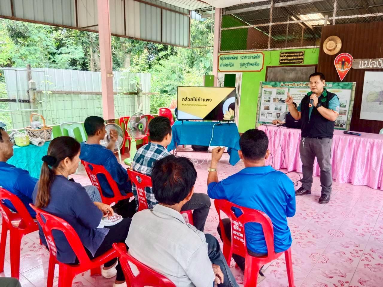 12. เปิดศูนย์เรียนรู้และจำหน่ายกล้วยไข่ GI หนุนเกษตรกรยกระดับคุณภาพผลผลิต ณ วิสาหกิจชุมชนเกษตรกล้วยไข่ ตำบลท่าพุทรา อำเภอคลองขลุง จังหวัดกำแพงเพชร วันที่ 15 สิงหาคม 2568