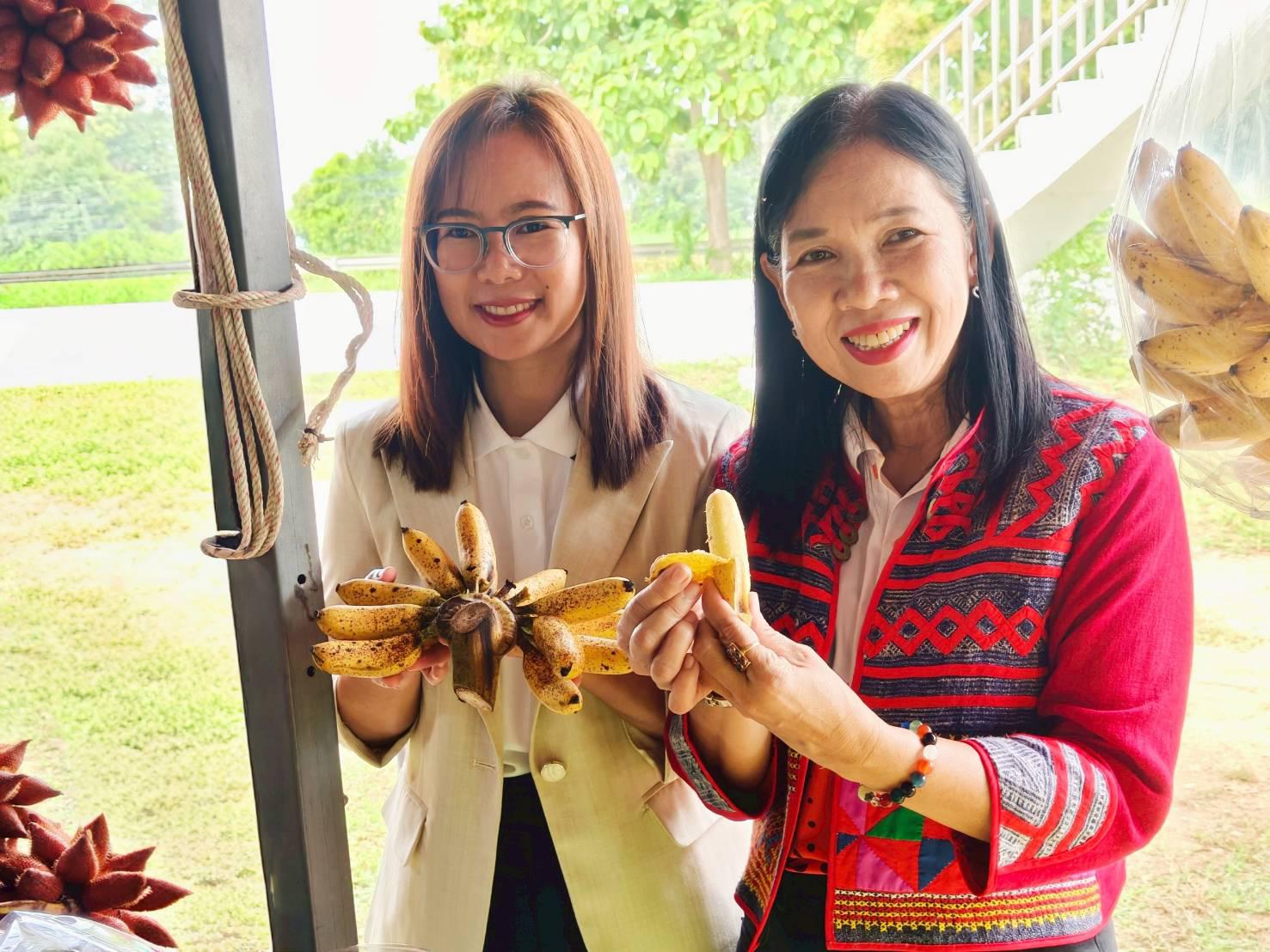 17. เปิดศูนย์เรียนรู้และจำหน่ายกล้วยไข่ GI หนุนเกษตรกรยกระดับคุณภาพผลผลิต ณ วิสาหกิจชุมชนเกษตรกล้วยไข่ ตำบลท่าพุทรา อำเภอคลองขลุง จังหวัดกำแพงเพชร วันที่ 15 สิงหาคม 2568