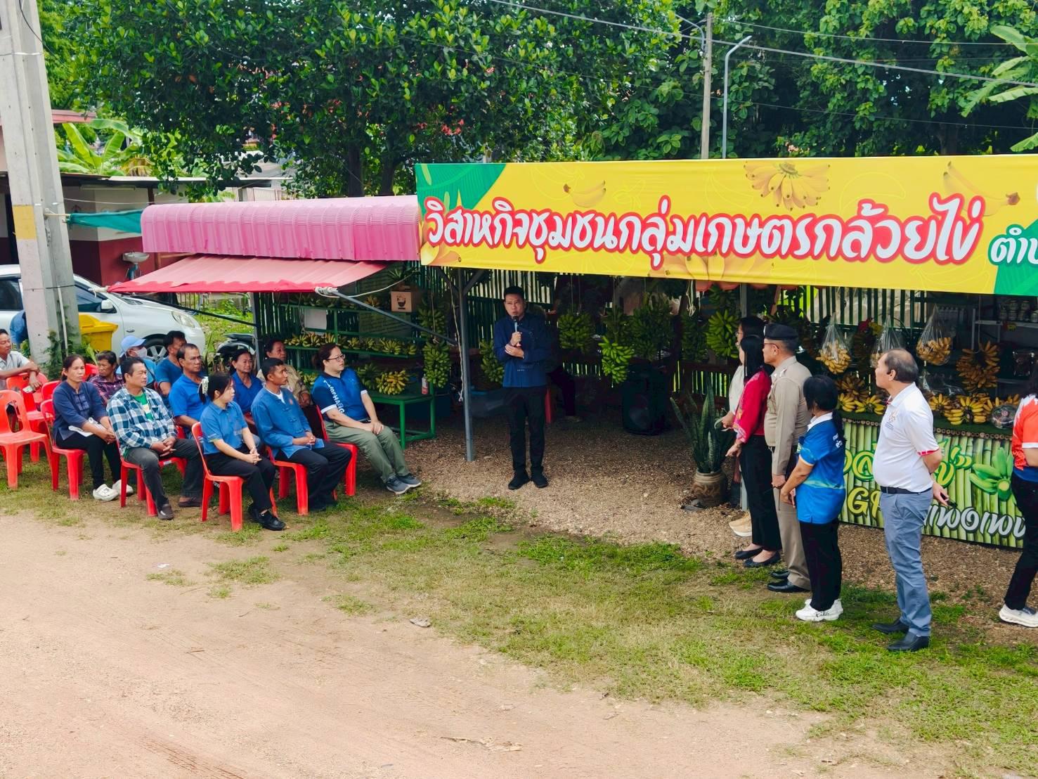 20. เปิดศูนย์เรียนรู้และจำหน่ายกล้วยไข่ GI หนุนเกษตรกรยกระดับคุณภาพผลผลิต ณ วิสาหกิจชุมชนเกษตรกล้วยไข่ ตำบลท่าพุทรา อำเภอคลองขลุง จังหวัดกำแพงเพชร วันที่ 15 สิงหาคม 2568