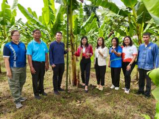 1. ชวนชิม ชวนช้อป กล้วยไข่ GI ของดีเมืองกำแพงเพชร ณ วิสาหกิจชุมชนเกษตรกล้วยไข่ ตำบลท่าพุทรา อำเภอคลองขลุง จังหวัดกำแพงเพชร วันที่ 15 สิงหาคม 2568