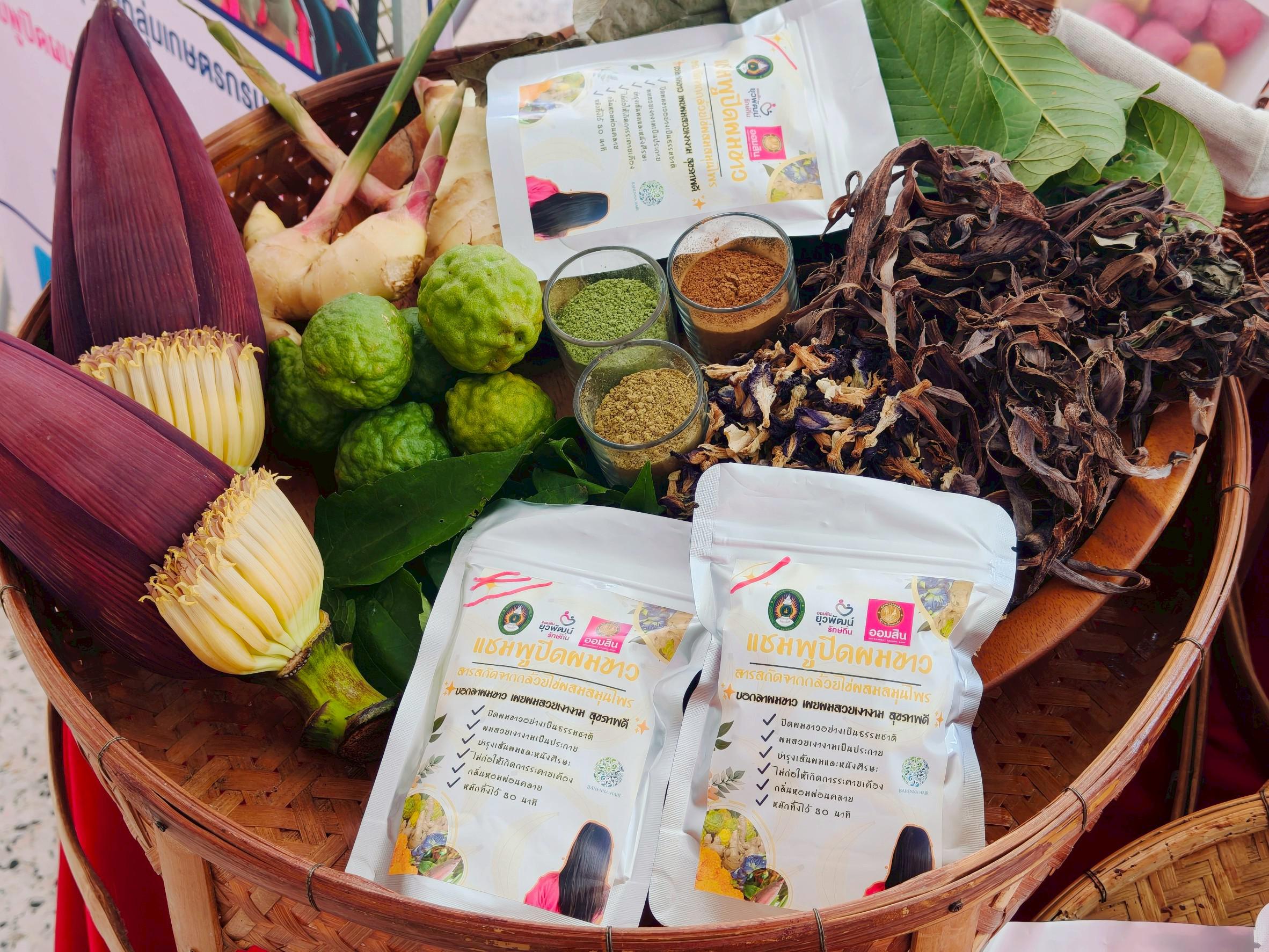 55. การนำเสนอผลสัมฤทธิ์ พร้อมทั้งเยี่ยมชมนิทรรศการ ณ บริเวณลานอเนกประสงค์ ชั้น 1 อาคารเรียนรวมและอำนวยการ (อาคาร 14) วันที่ 9 กันยายน 2568