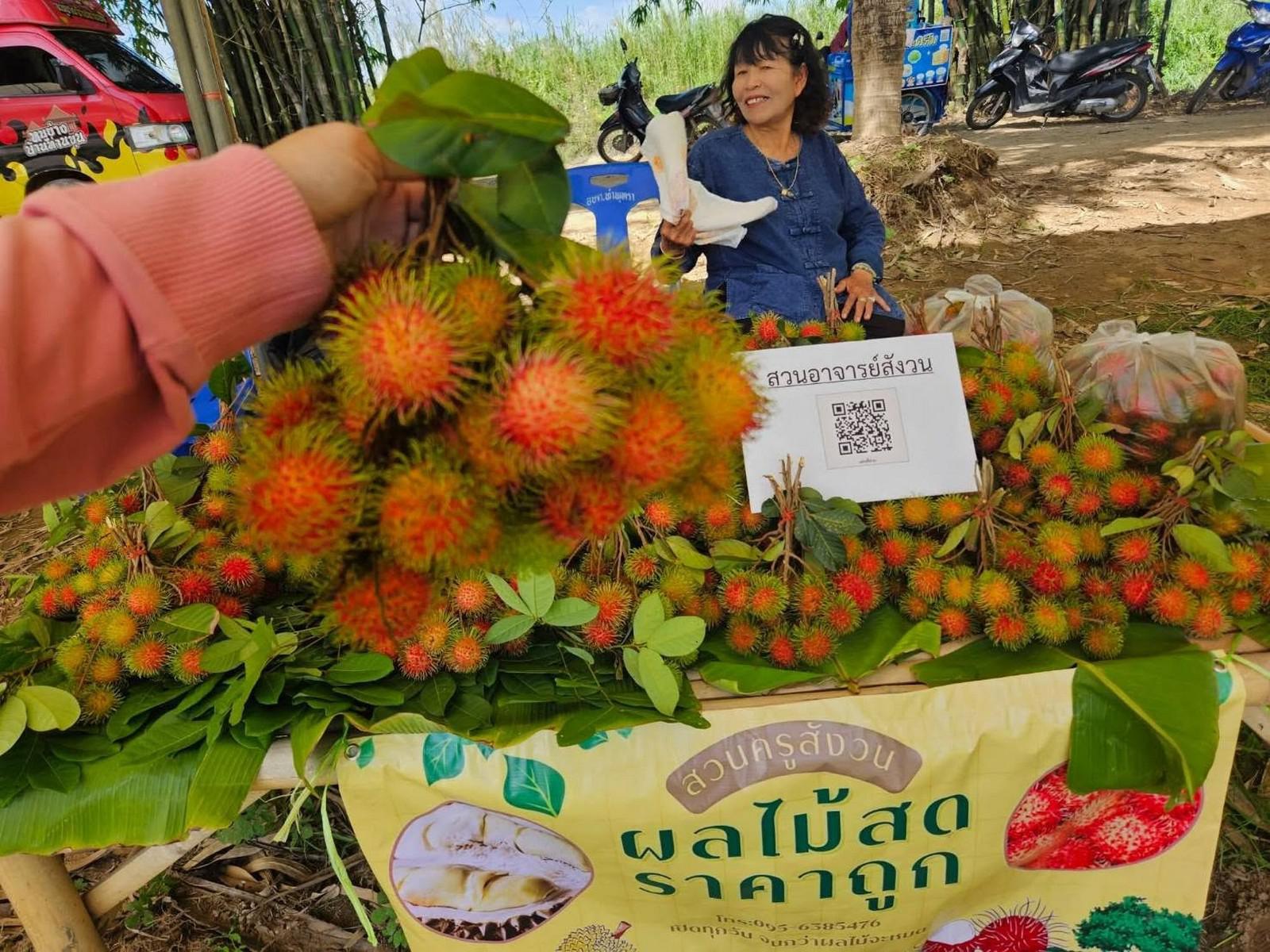 9. งานประเพณี “เสน่ห์ท่าพุทรา มหัศจรรย์ผลไม้ปรึกมะกรูด ประจำปี 2569” วันที่ 31 พฤษภาคม 2569