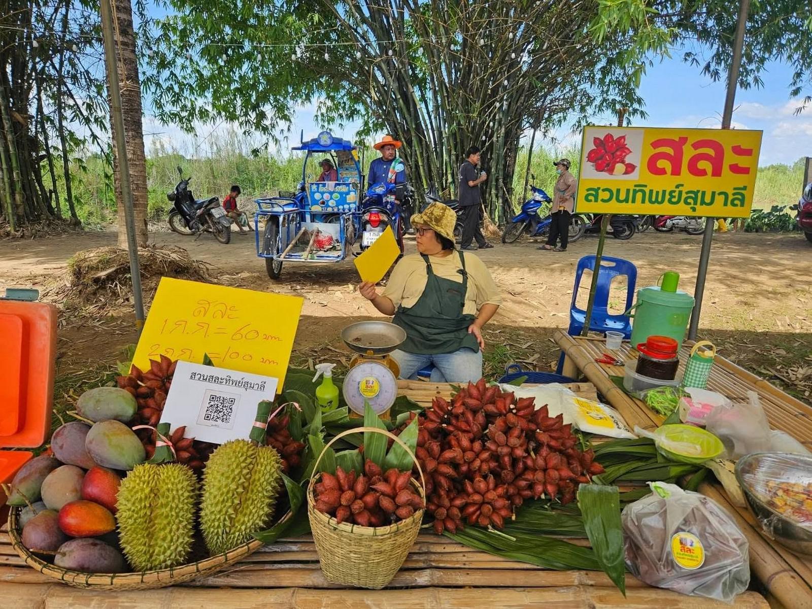 10. งานประเพณี “เสน่ห์ท่าพุทรา มหัศจรรย์ผลไม้ปรึกมะกรูด ประจำปี 2569” วันที่ 31 พฤษภาคม 2569